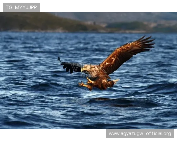 如何在ag捕鱼王下载官网快速注册账号，开启你的精彩捕鱼之旅